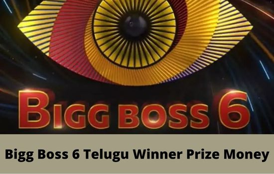 Bigg Boss Telugu Season 6 Winner Prize Money