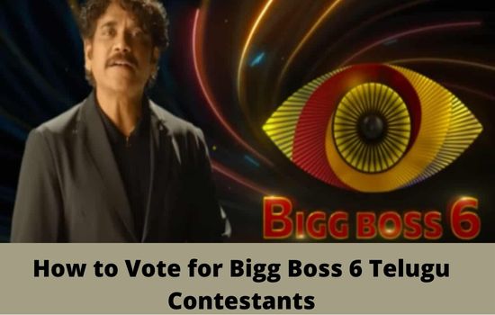 How to Vote for Bigg Boss 6 Telugu Contestants