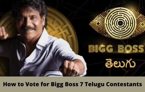 How to Vote for Bigg Boss 7 Telugu Contestants