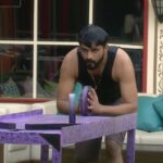 Bigg Boss 8 Telugu Day 30 Highlights