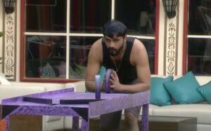 Bigg Boss 8 Telugu Day 30 Highlights