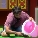 Bigg Boss 8 Telugu Day 31 Highlights