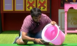 Bigg Boss 8 Telugu Day 31 Highlights