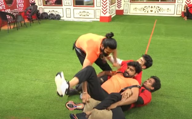 Bigg Boss 8 Telugu Day 53 Highlights