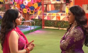 Bigg Boss 8 Telugu Day 88 Highlights